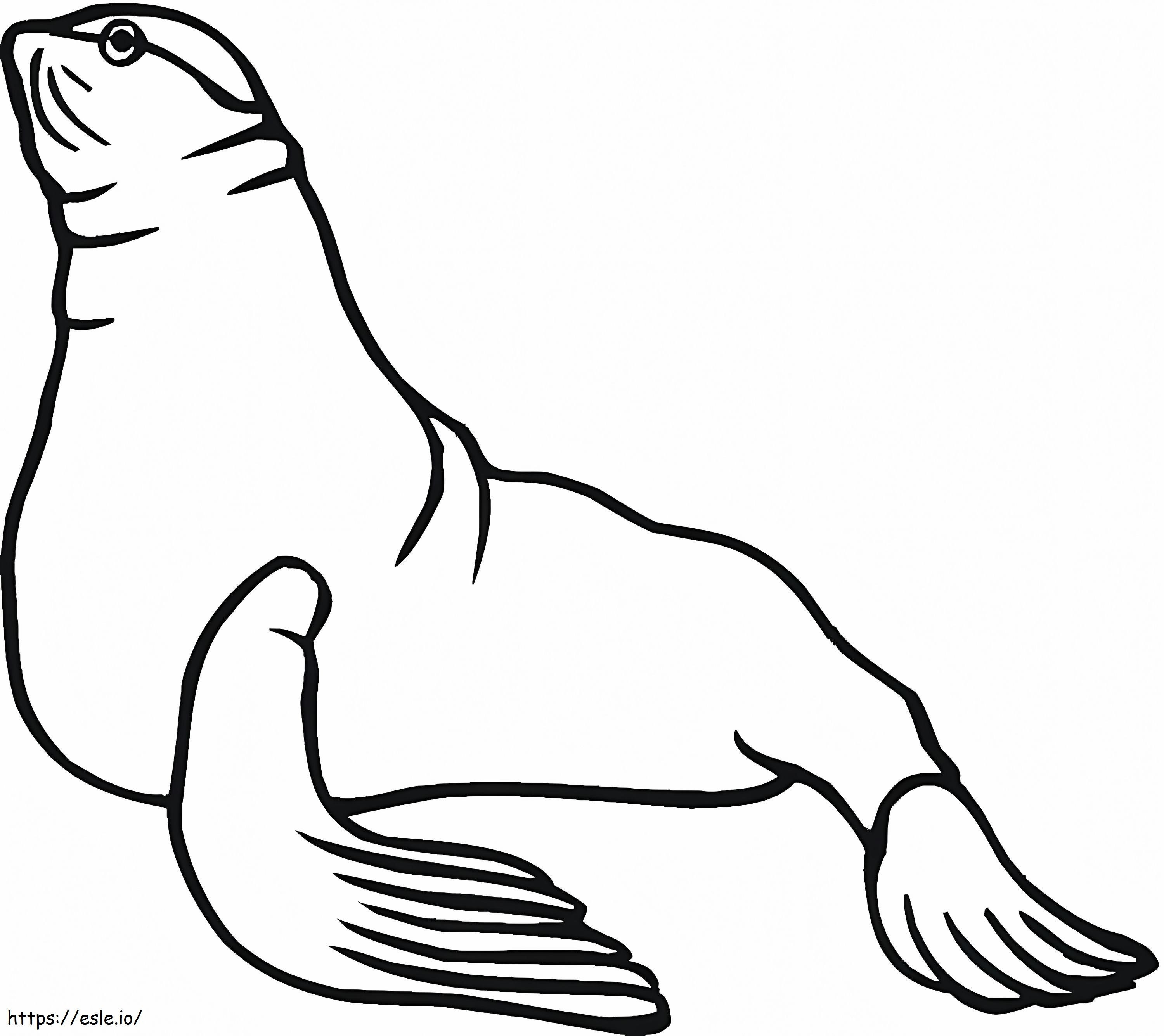 Coloriage Lion de mer gratuit à imprimer dessin