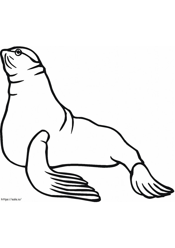 Free Sea Lion coloring page