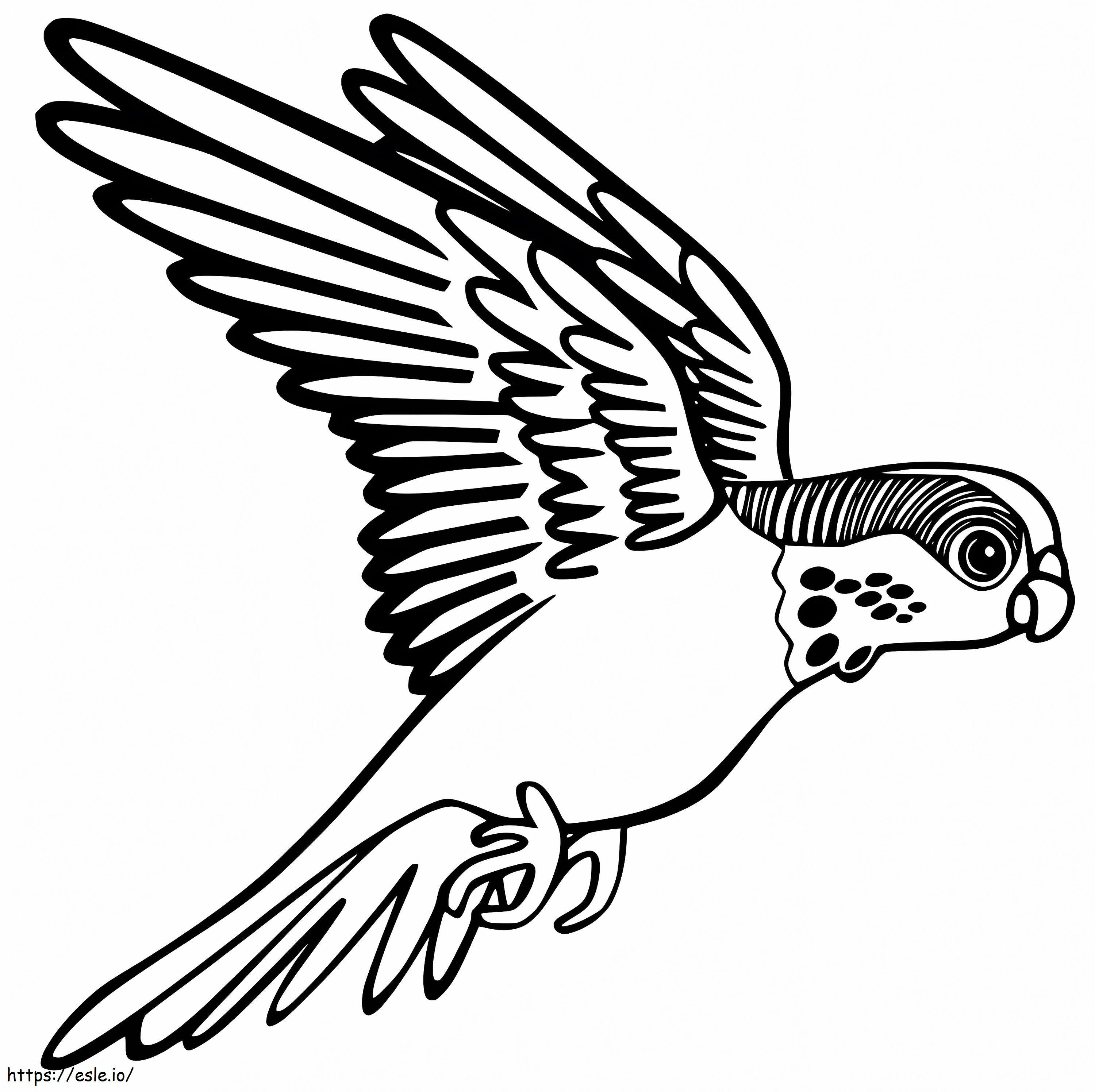 Repülő papagáj kifestő