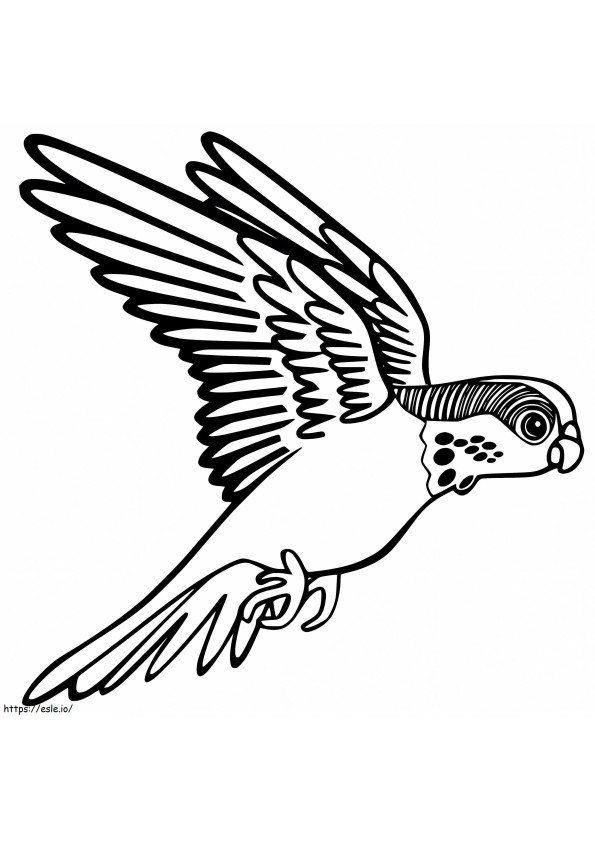 Repülő papagáj kifestő