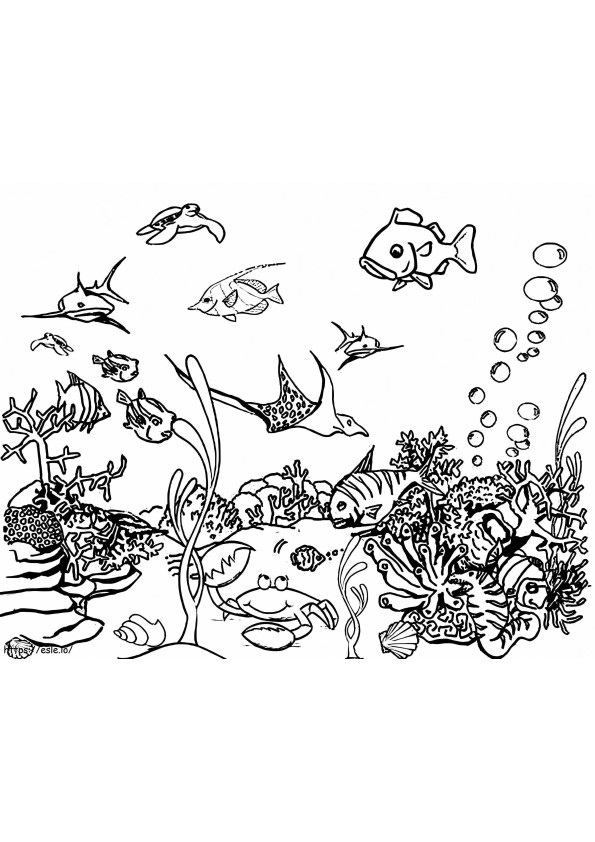 Awesome Ocean Life coloring page