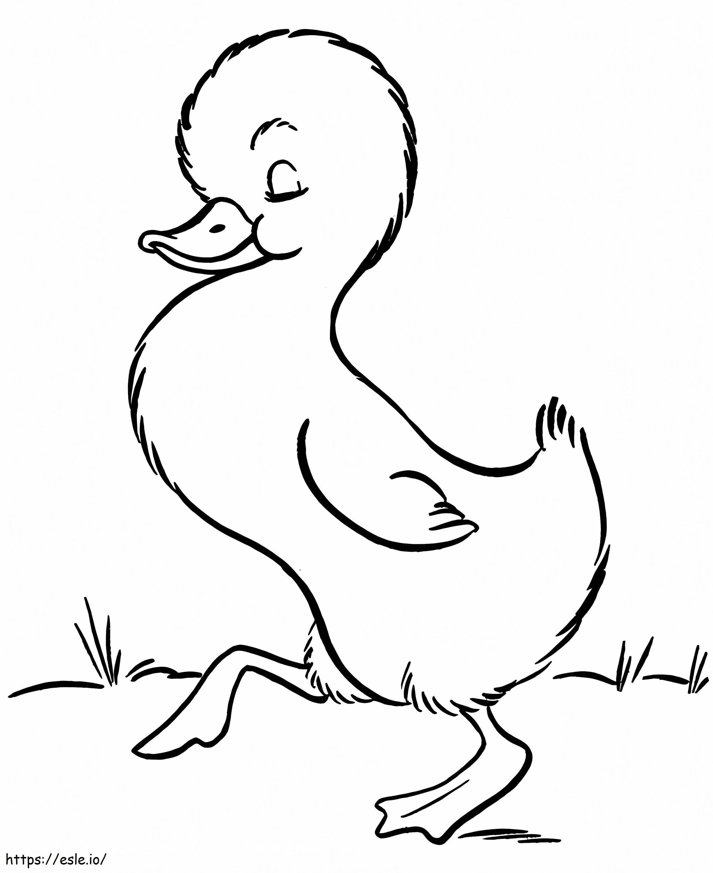 Duckling Walking coloring page