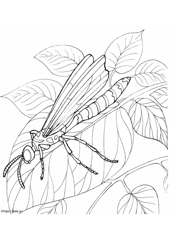 Dragonfly On Leaves coloring page
