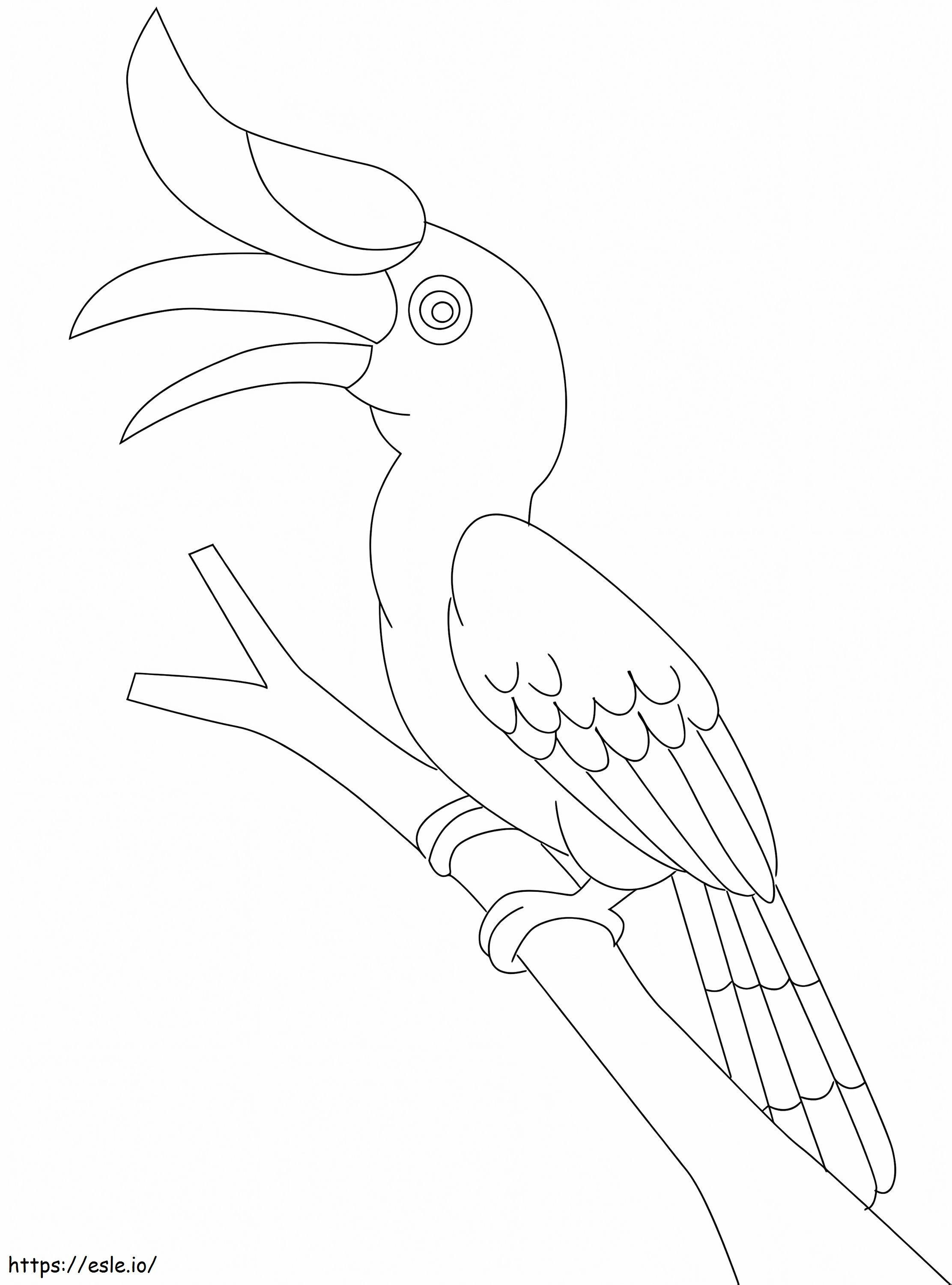 Dzioborożec Ptak kolorowanka