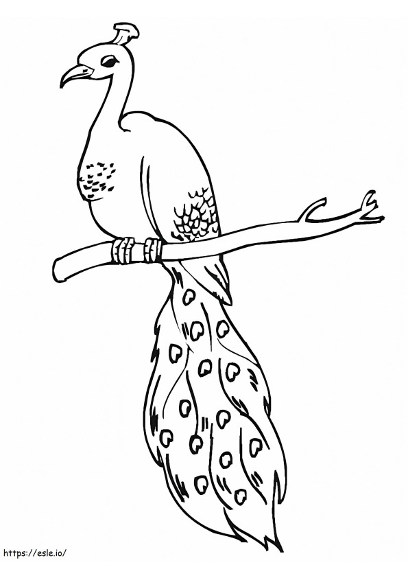Peacock On A Branch coloring page