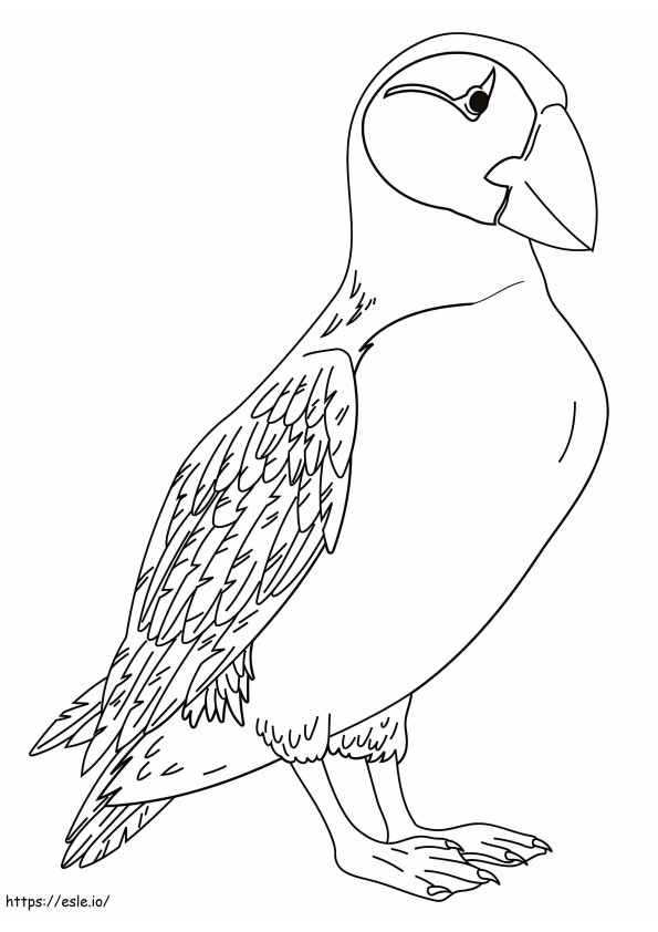 1596759345 Puffin