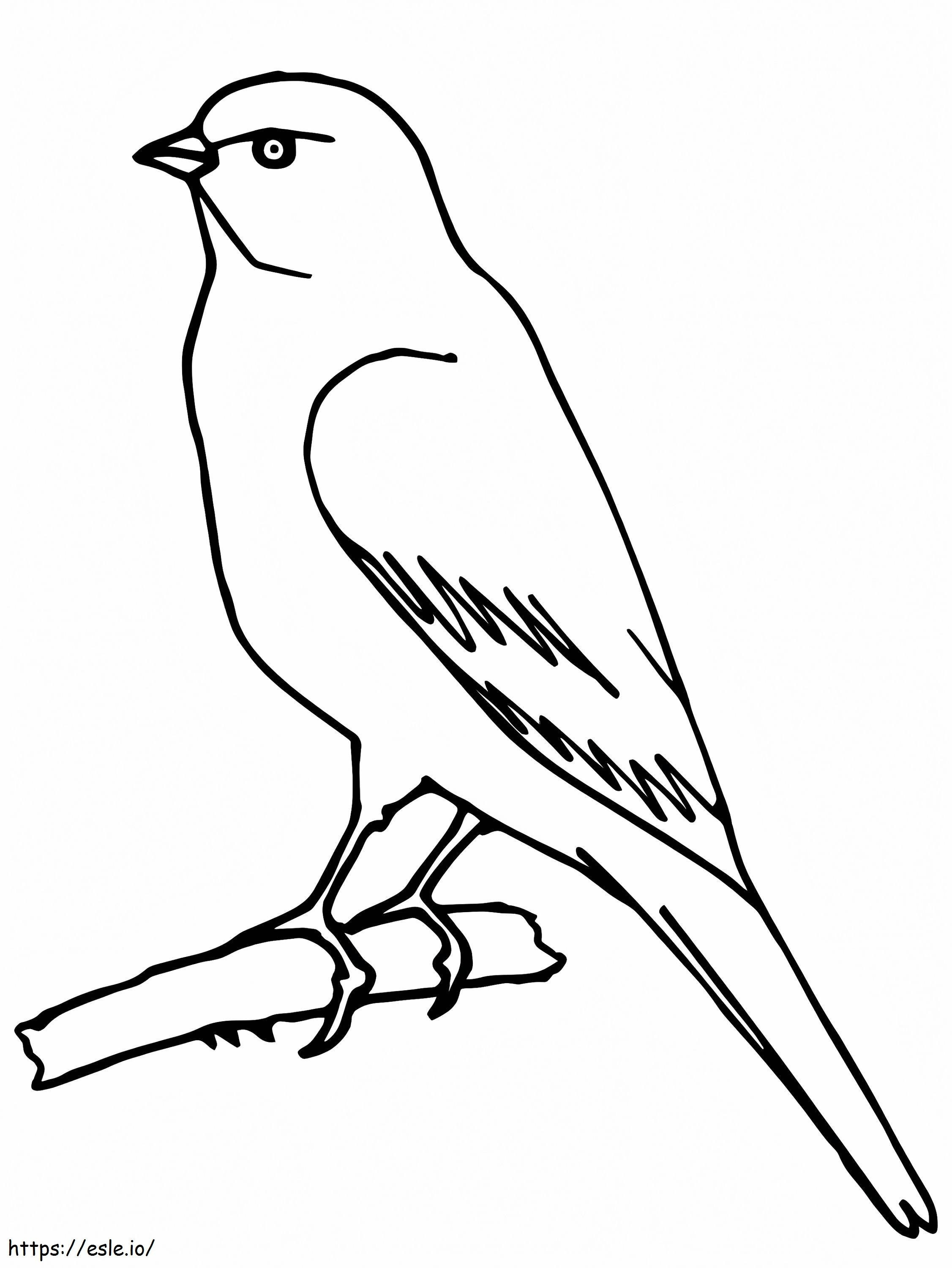 Normal Canary coloring page
