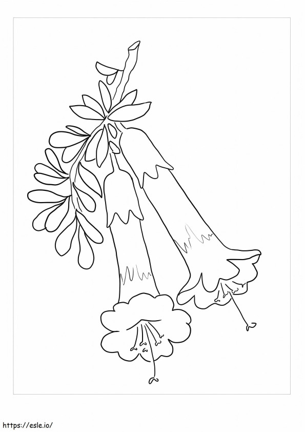 クチナシの花の ぬりえ - 塗り絵