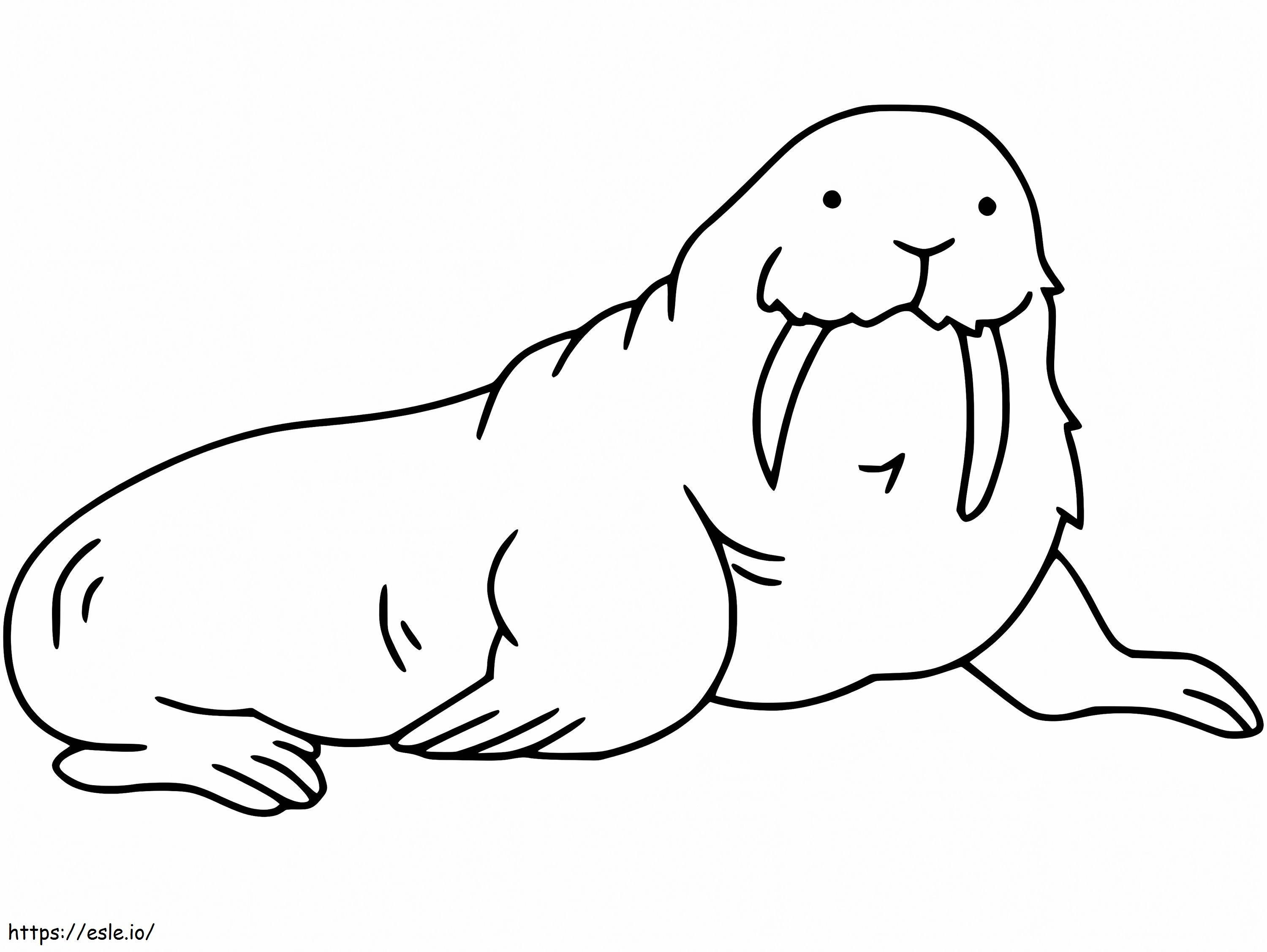 Walrus 5 coloring page