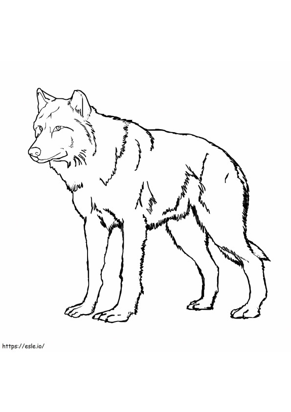 Afdrukbare wolf kleurplaat