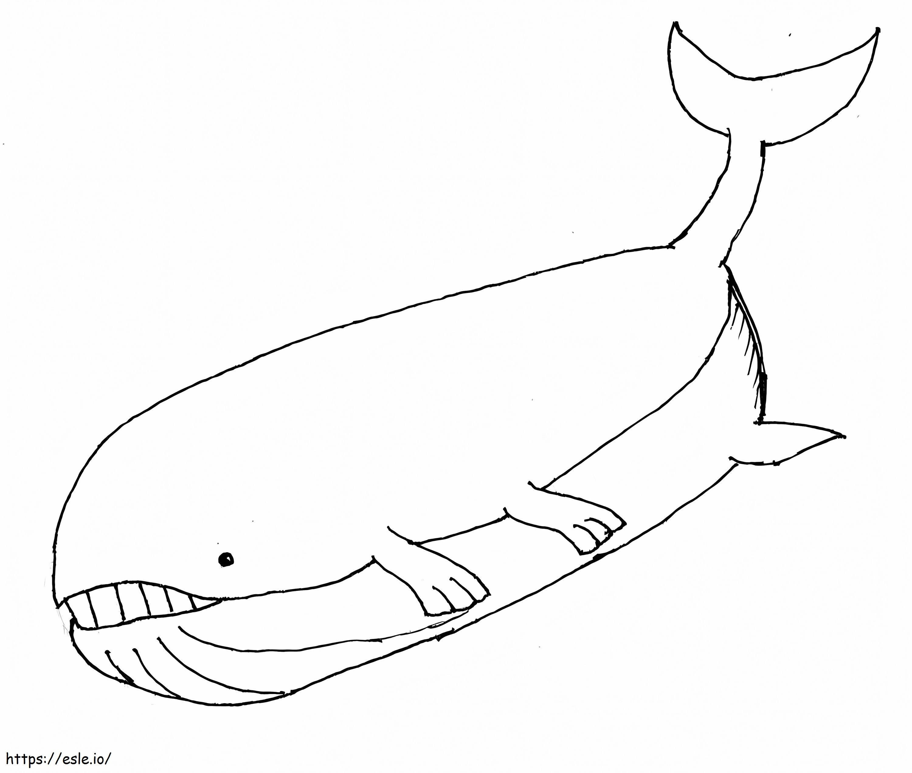 Wailord Gen 3 Pokemon coloring page