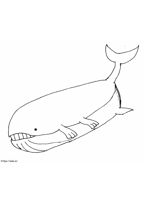 Wailord Gen 3 Pokemon coloring page