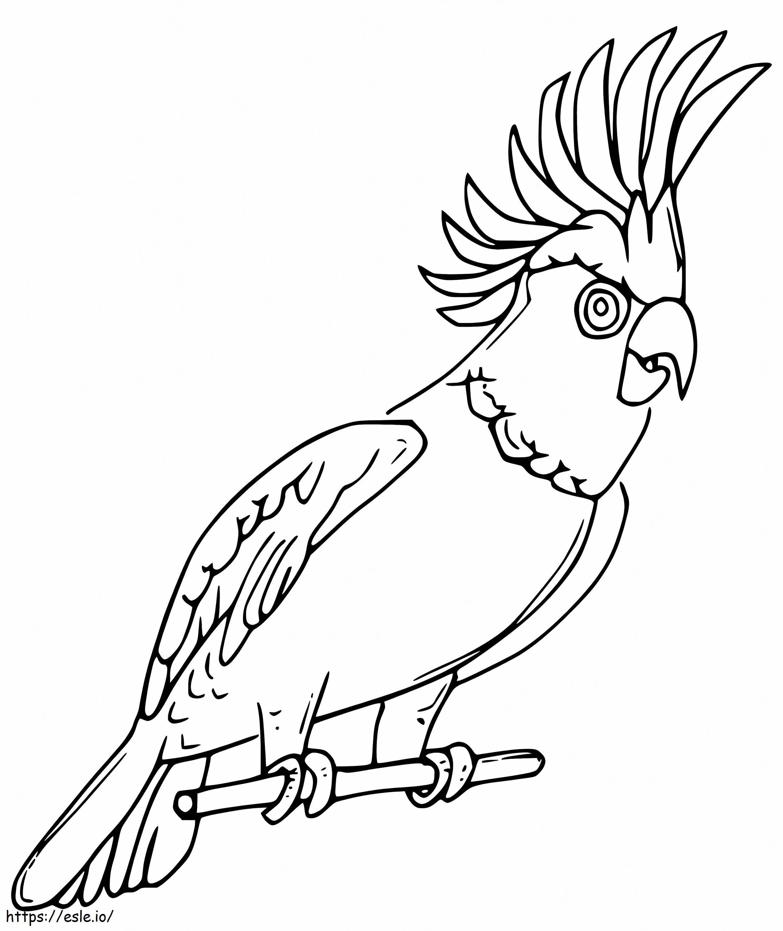 Burung Cockatiel Mutiara Gambar Mewarnai