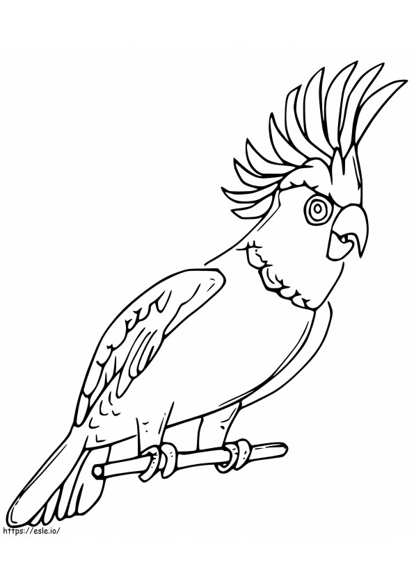 Burung Cockatiel Mutiara Gambar Mewarnai