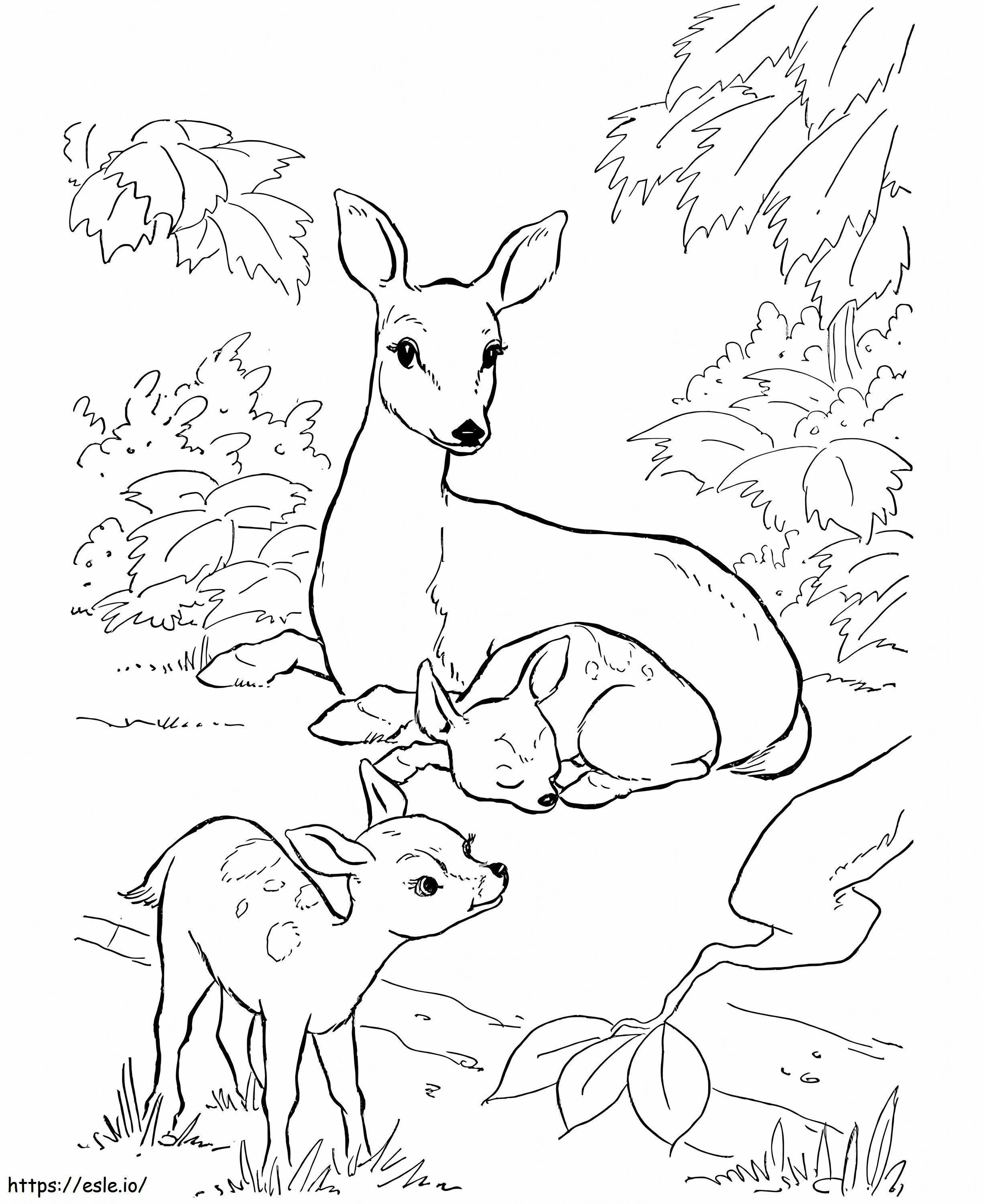 Familiar Deer coloring page