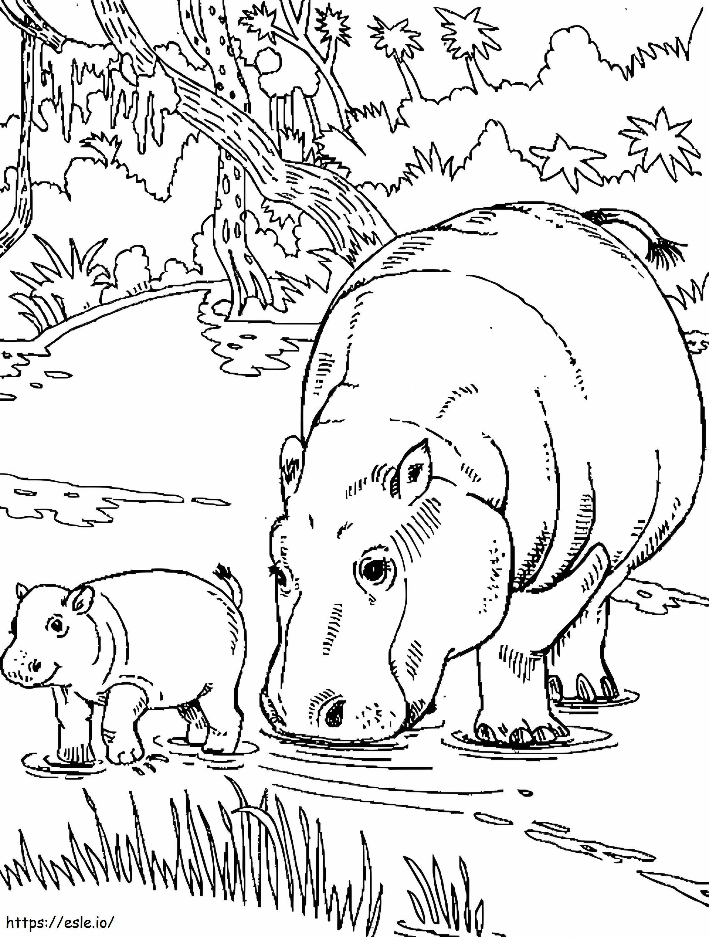 Mãe hipopótamo normal e bebê hipopótamo para colorir