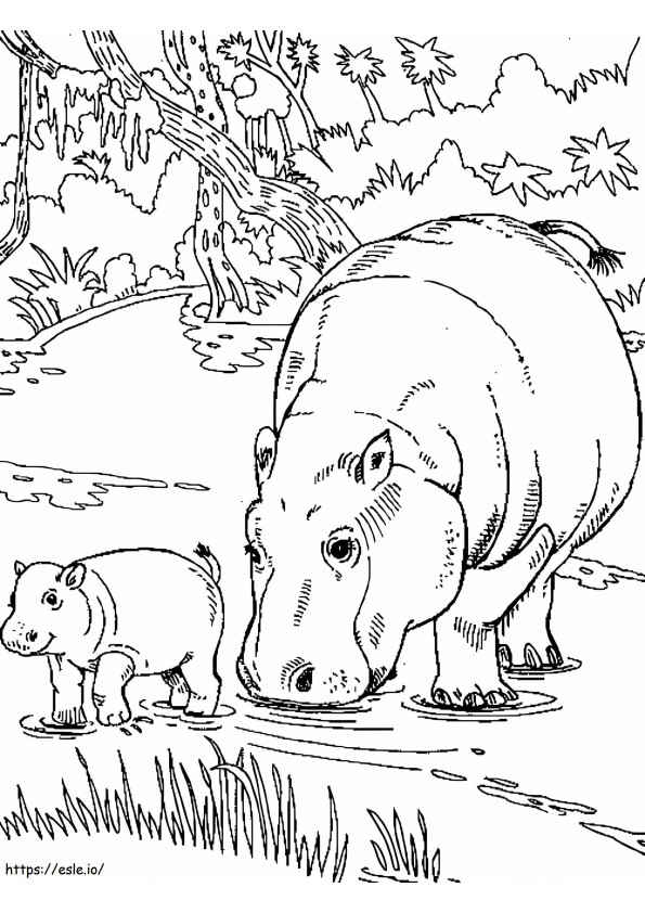 Coloriage Hippopotame normal, mère et bébé hippopotame à imprimer dessin