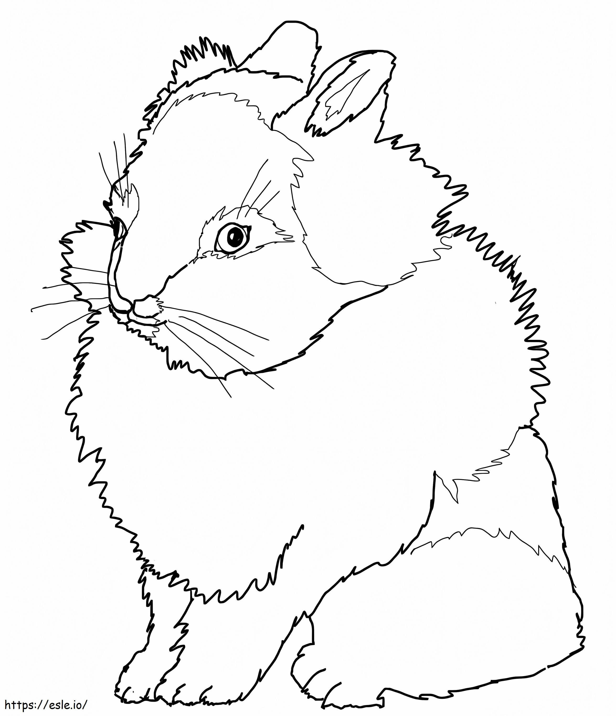 Conejo cabeza de león para colorear