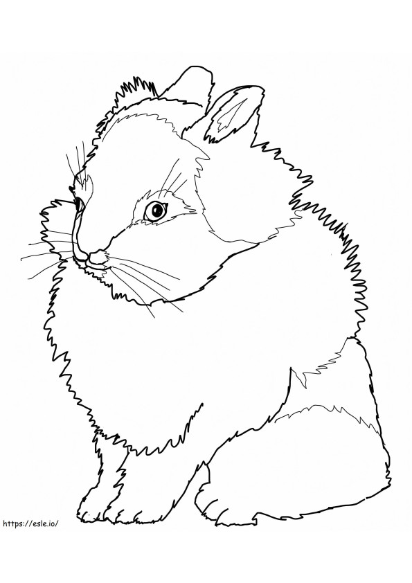 Conejo cabeza de león para colorear