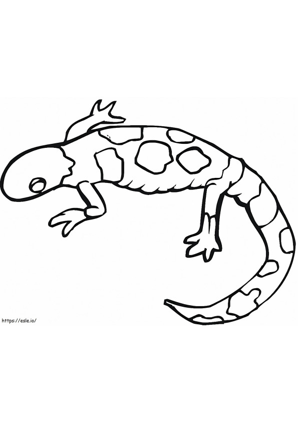 Ilmainen Gecko värityskuva