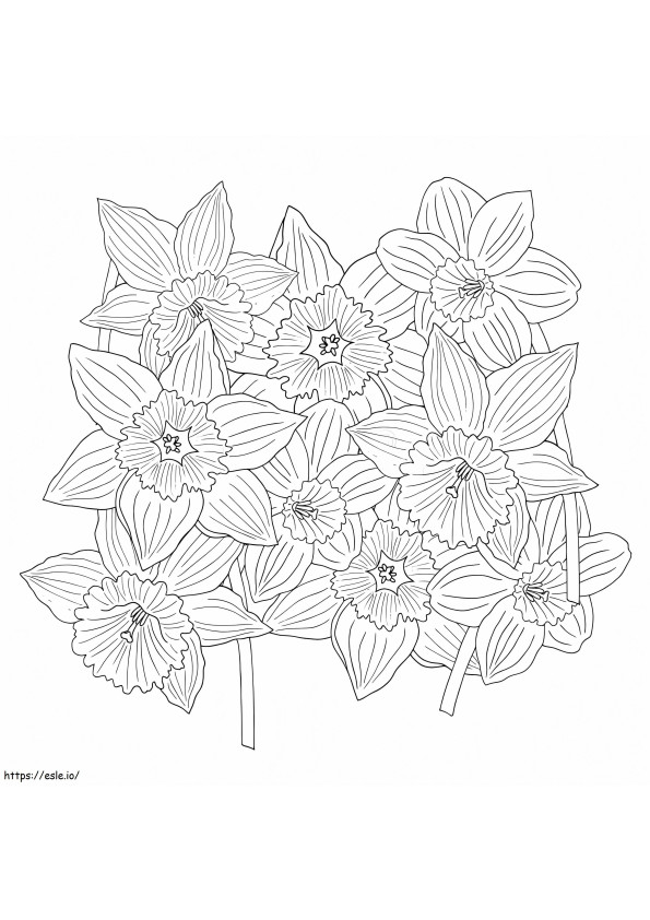 Adult Daffodil coloring page