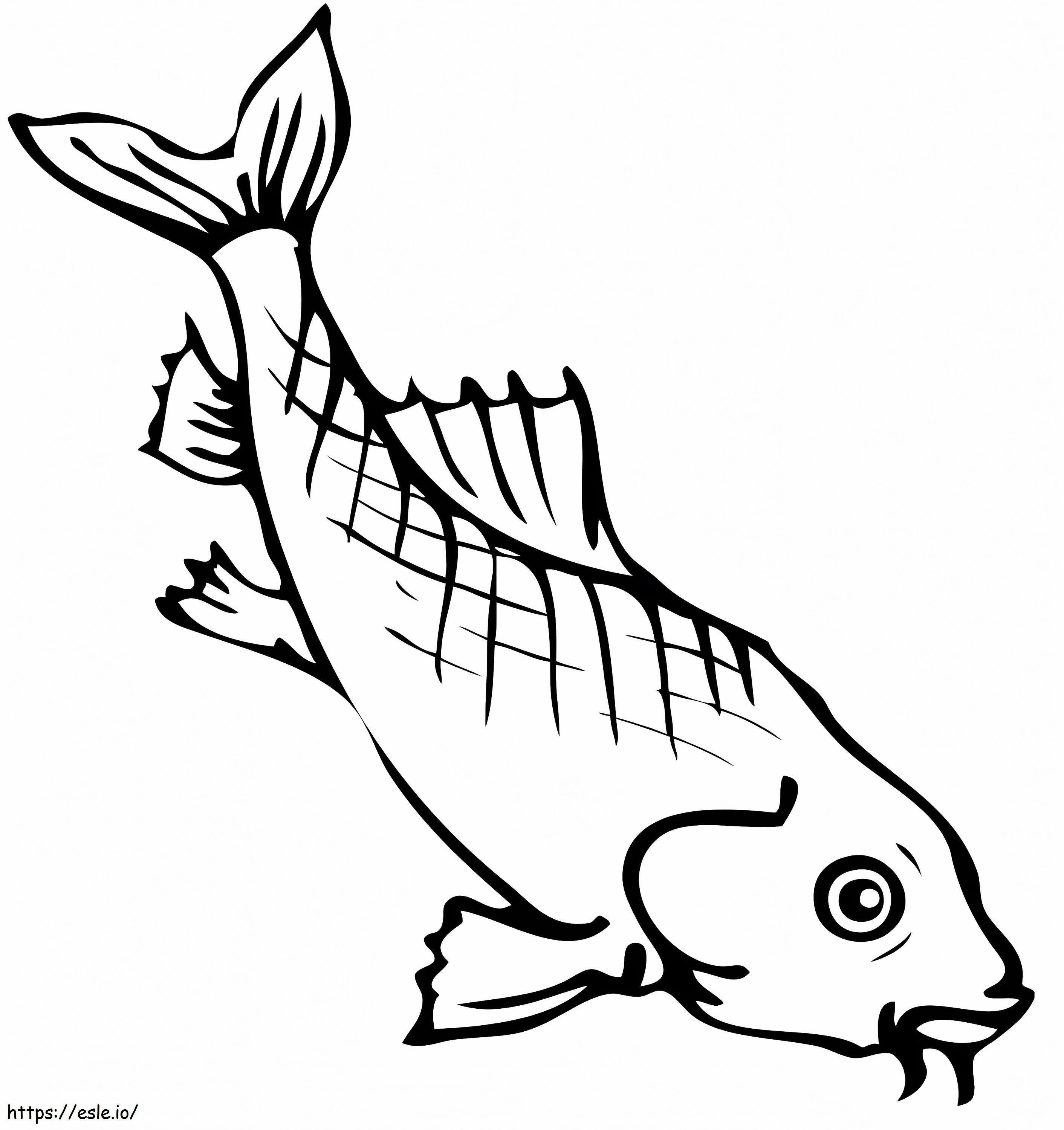 Freshwater Carp coloring page