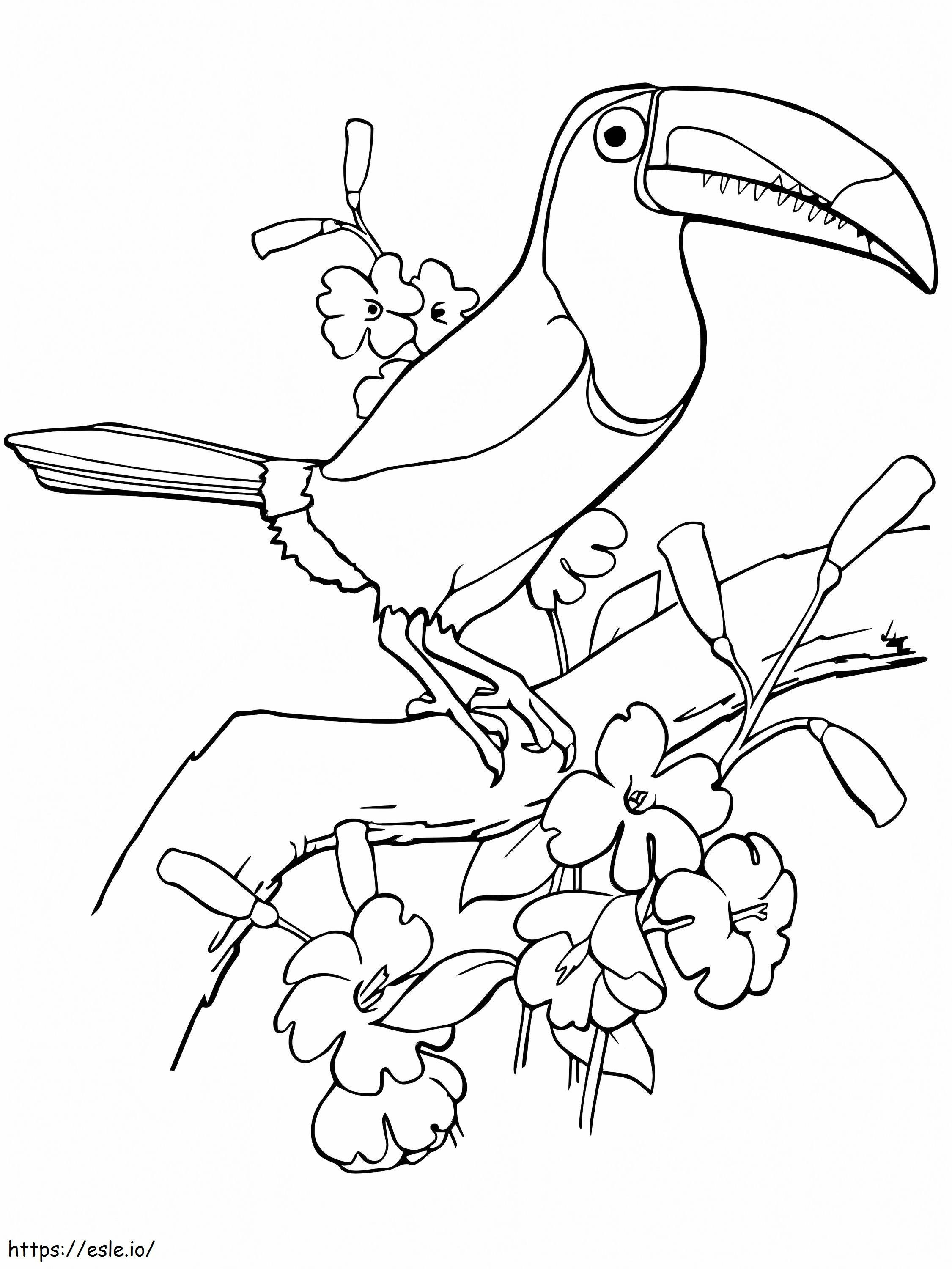 木に登るオオハシ鳥 ぬりえ - 塗り絵