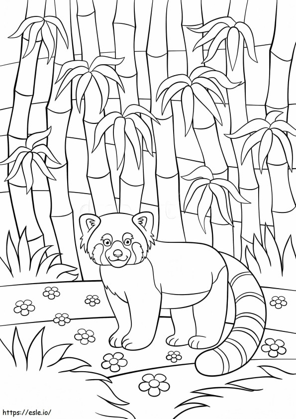 Red Panda In The Jungle coloring page