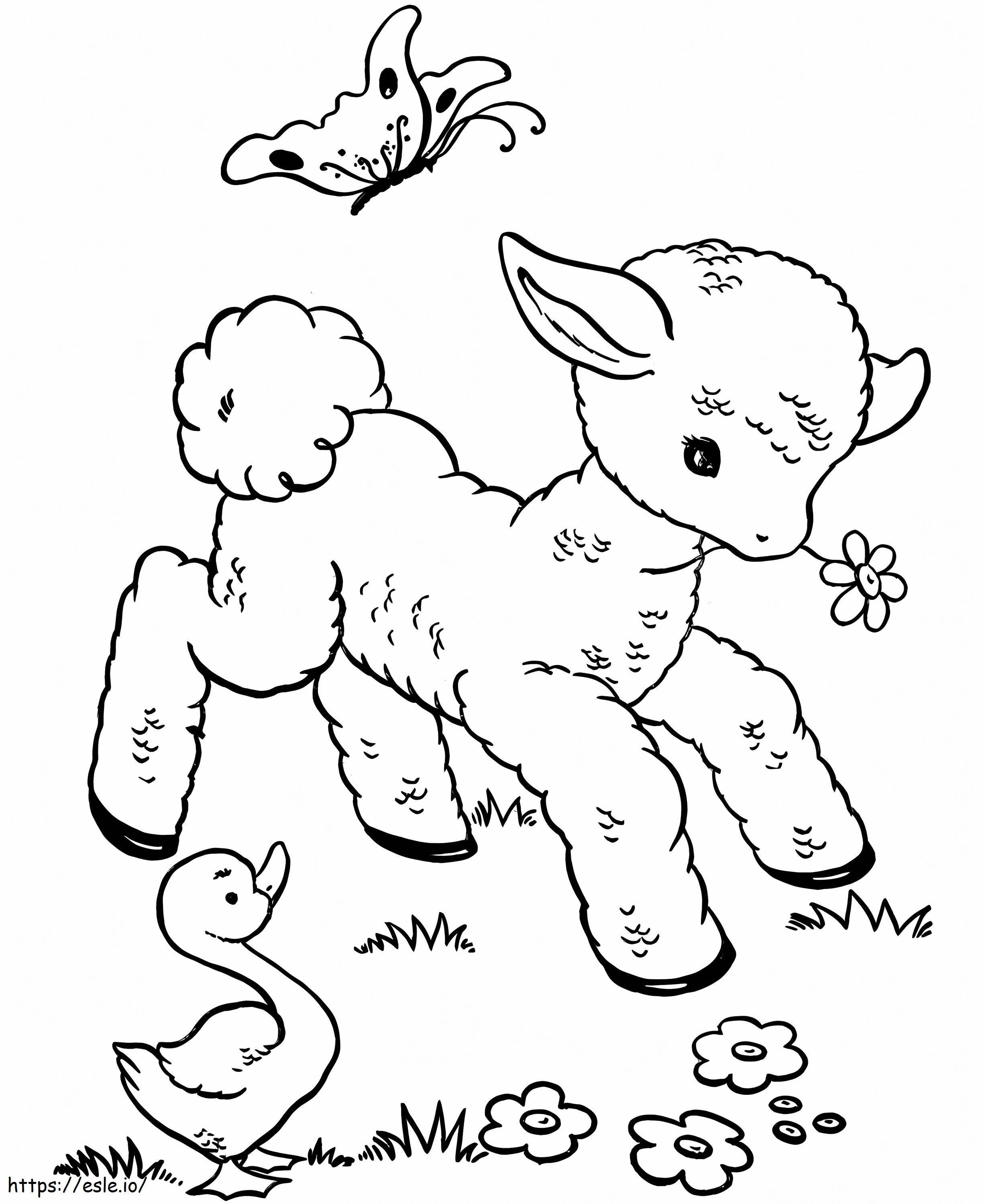 Dziecko owiec kolorowanka