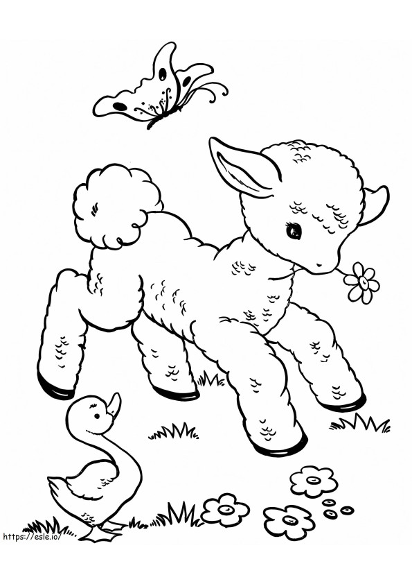 Bebê ovelha para colorir
