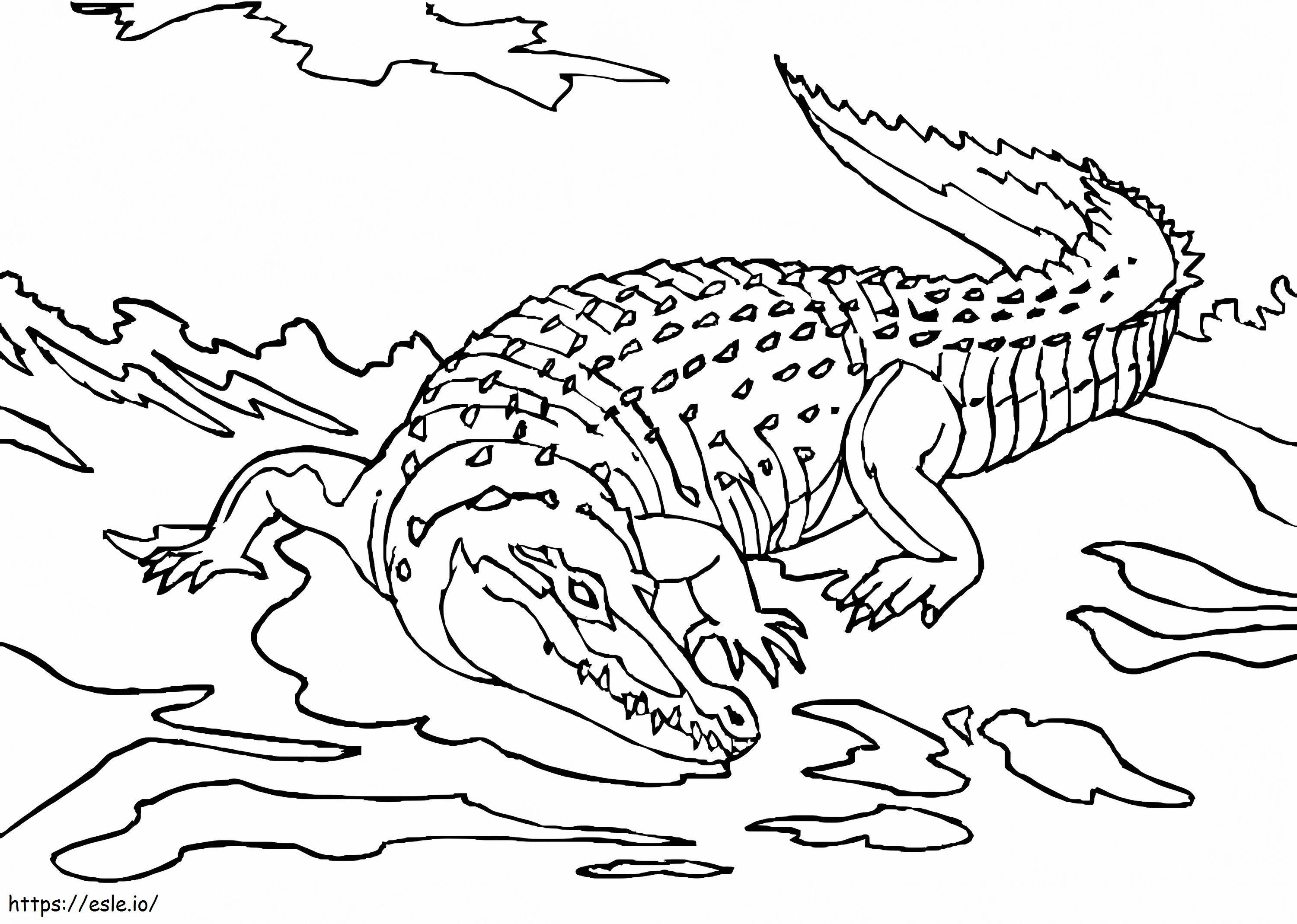 Crocodilo para imprimir para colorir