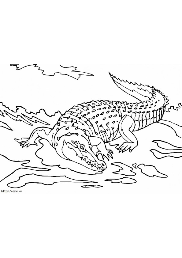 Crocodile To Print coloring page