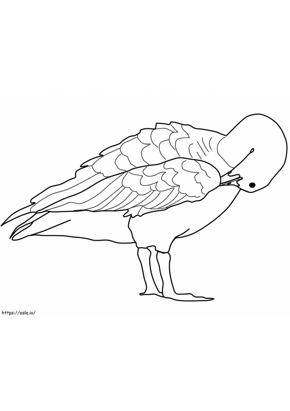 Normal Goose coloring page