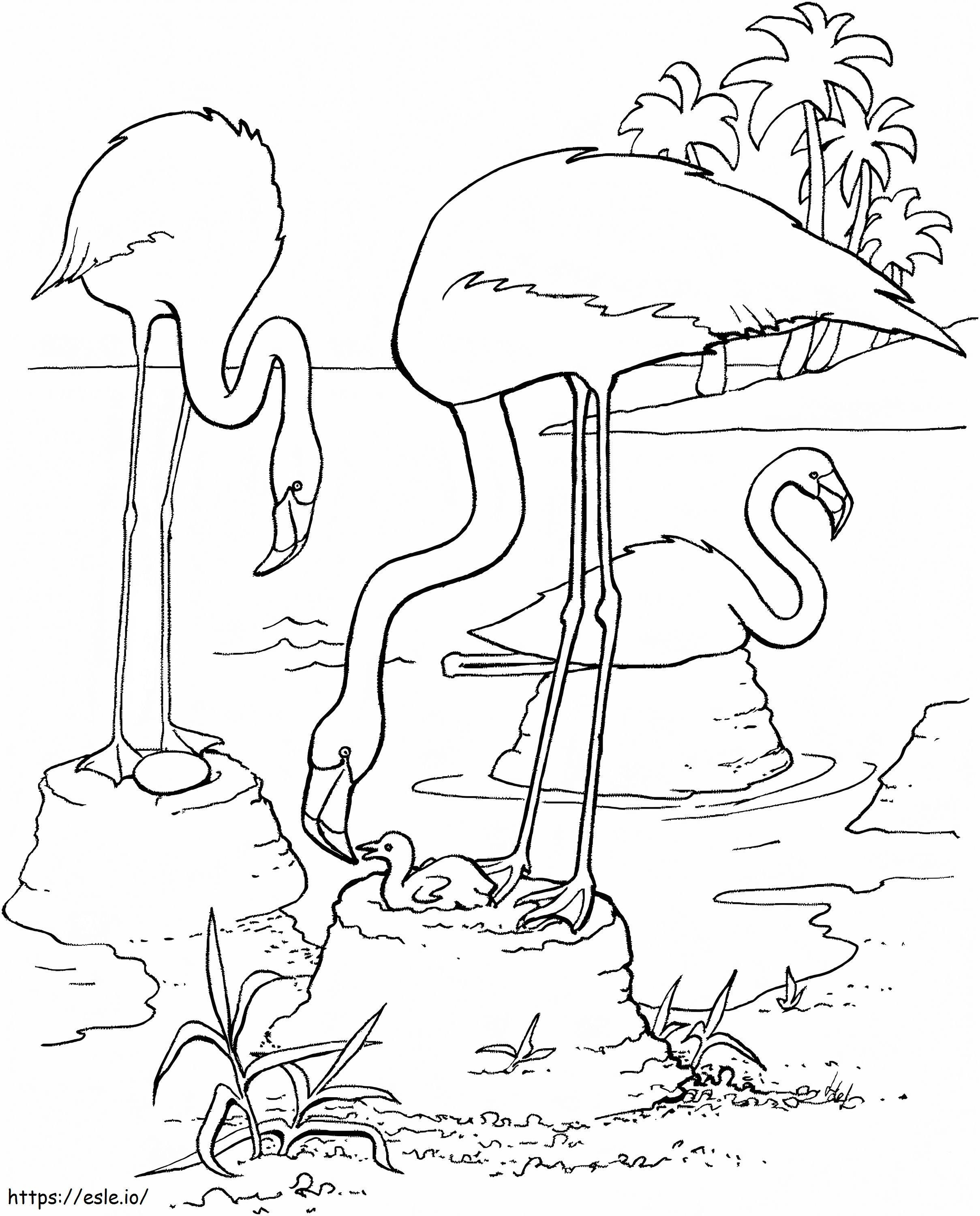 Flamingo Feeding Its Chick coloring page
