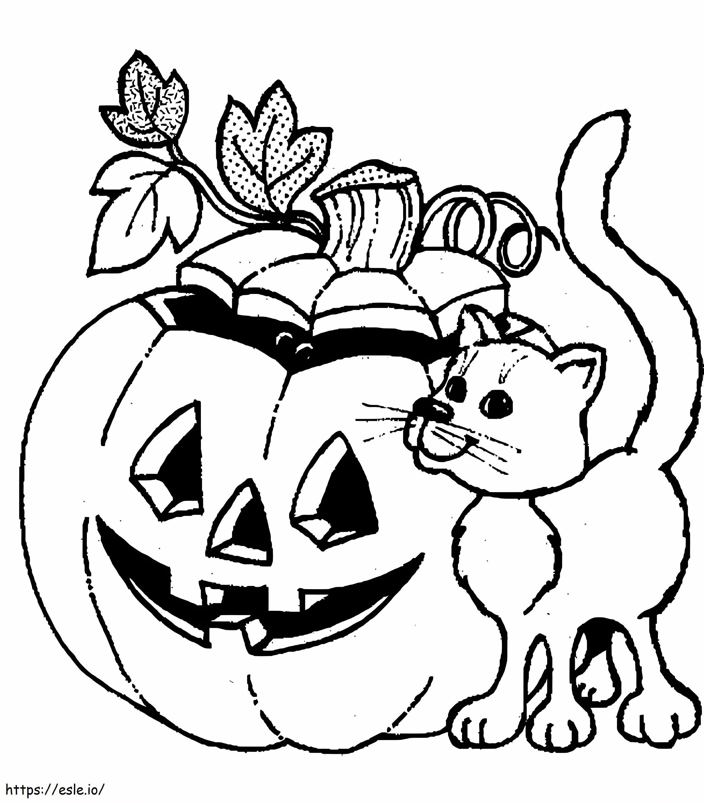 Jack O Lantern e Gato para colorir