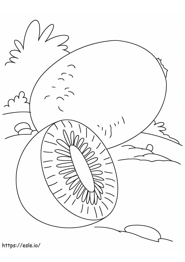 Coloriage Un kiwi et un demi-kiwi à imprimer dessin