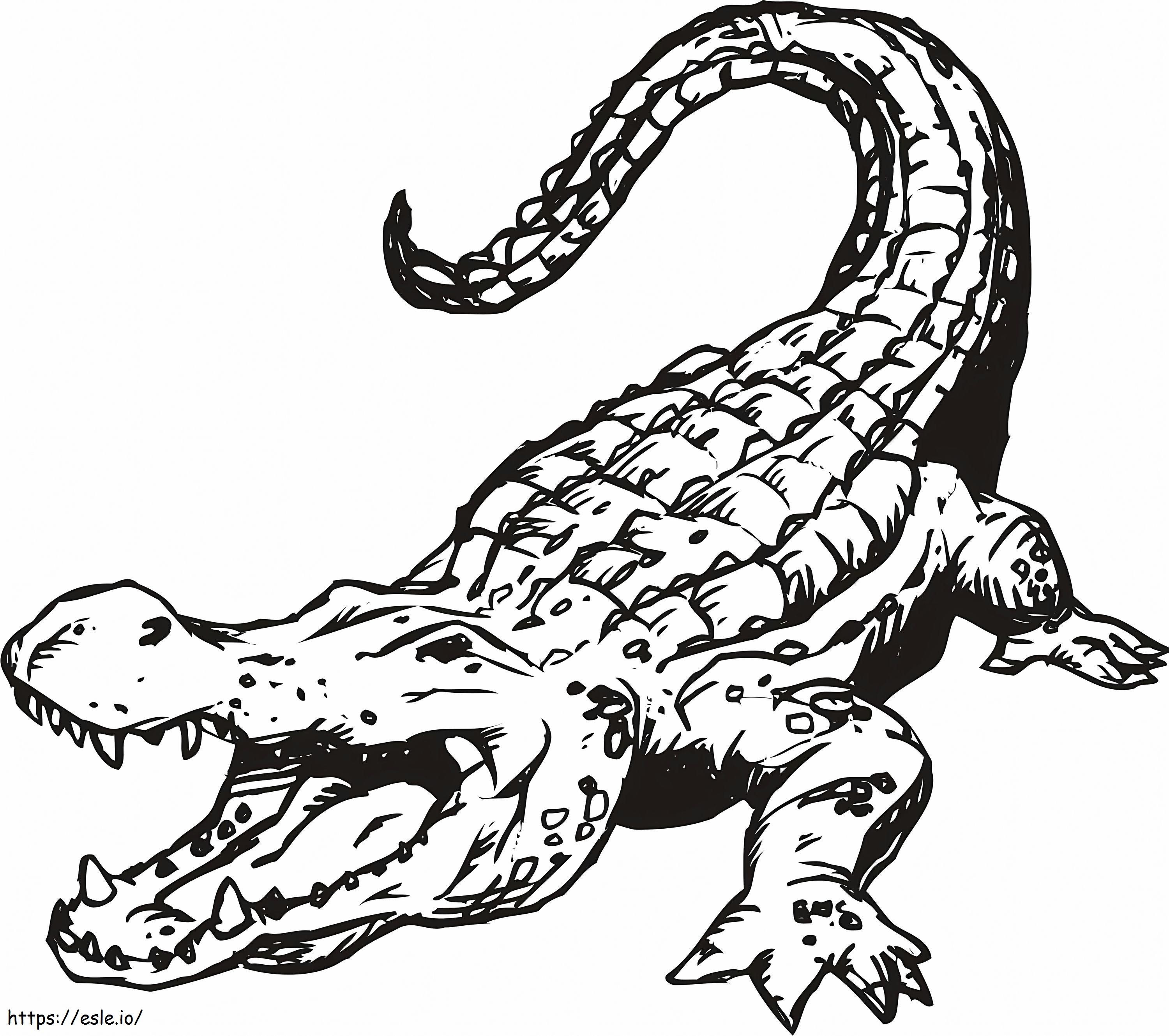 Coloriage Crocodile de base à imprimer dessin