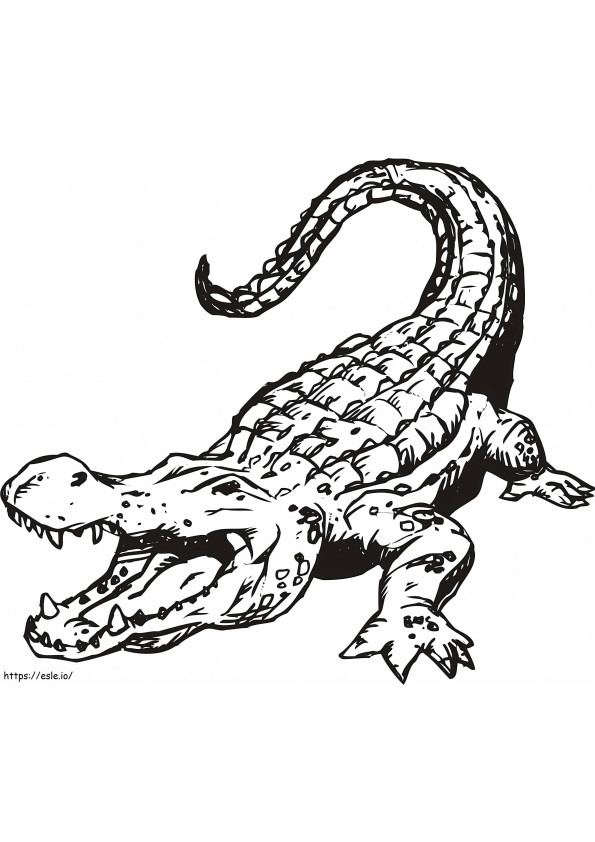 Coloriage Crocodile de base à imprimer dessin