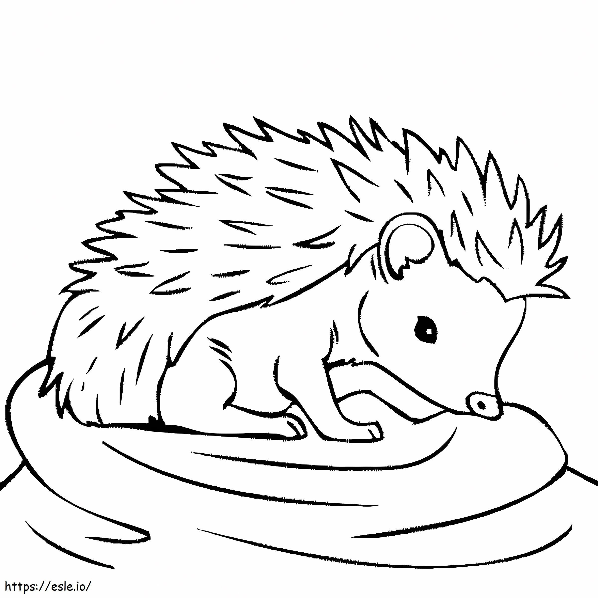 Adorable Hedgehog coloring page