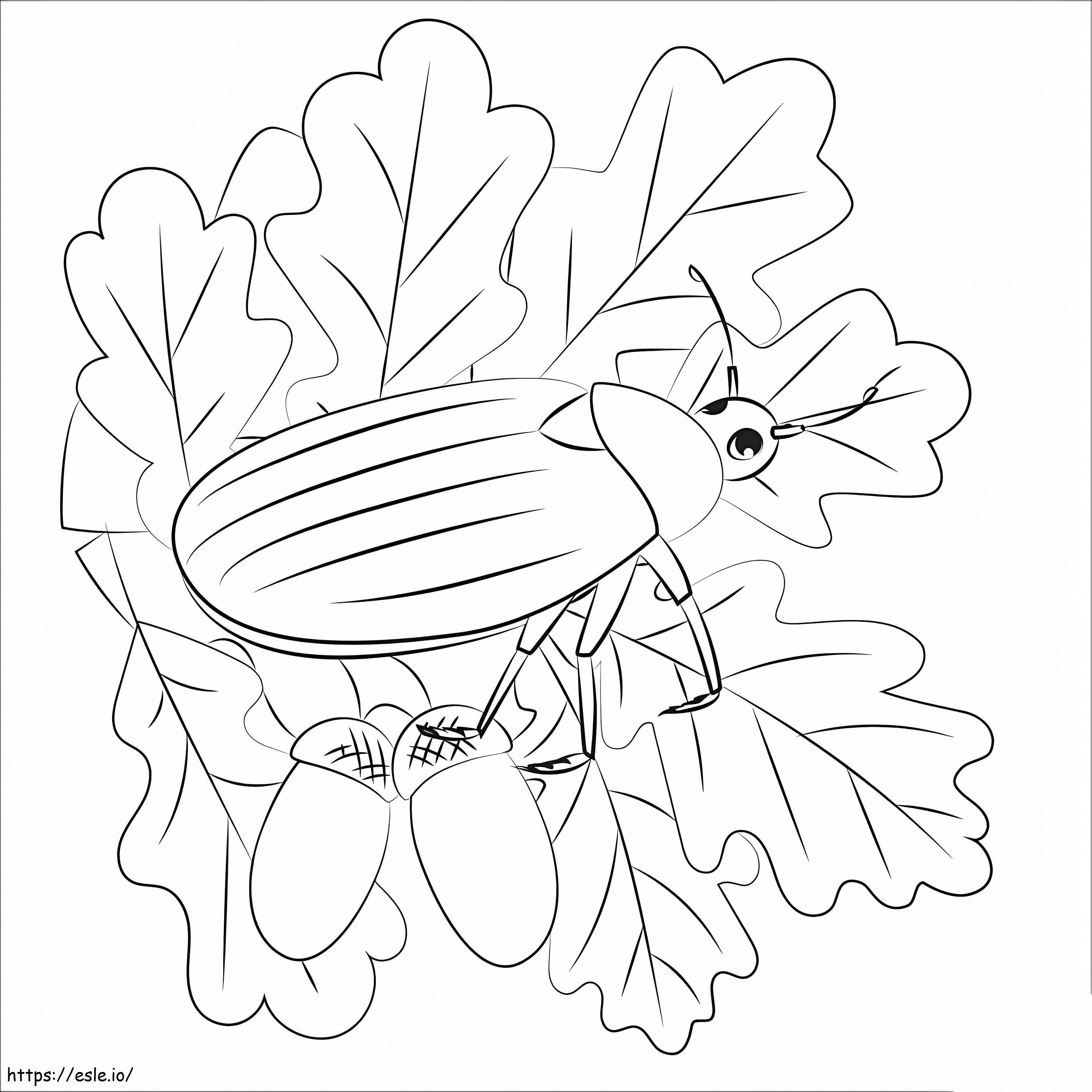 Gândac de colorat