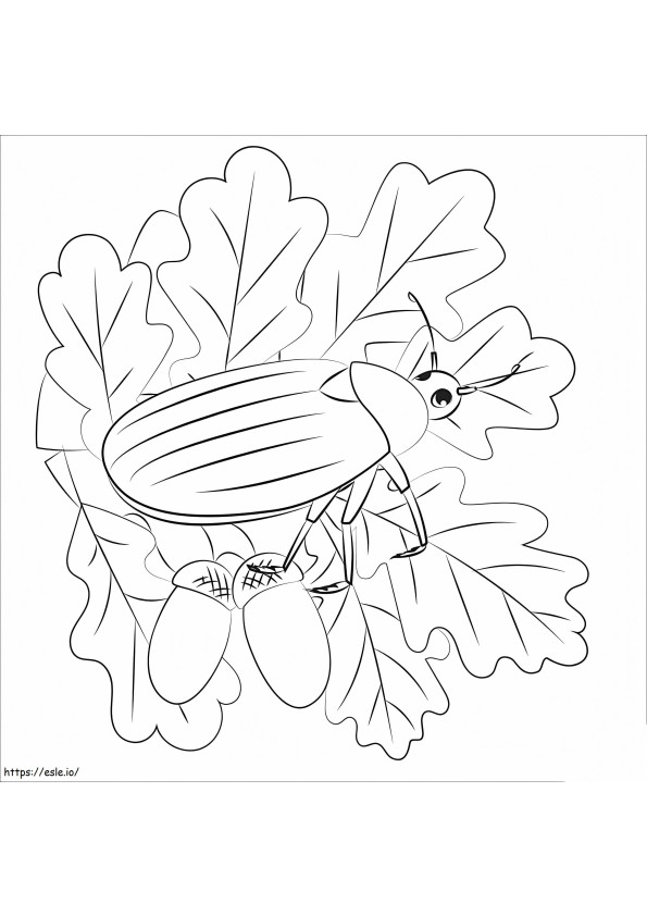 Bug coloring page