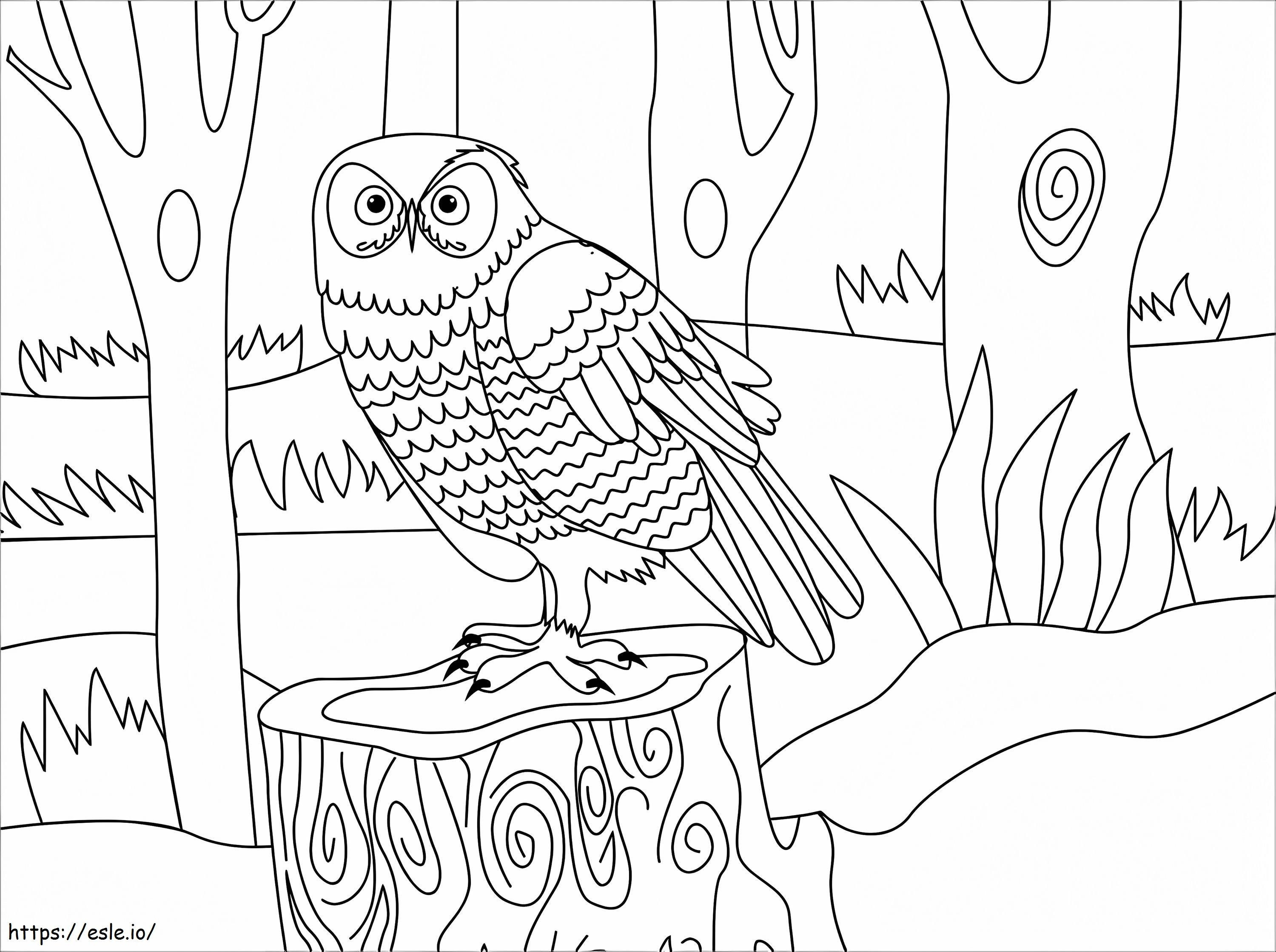 Owl 13 coloring page