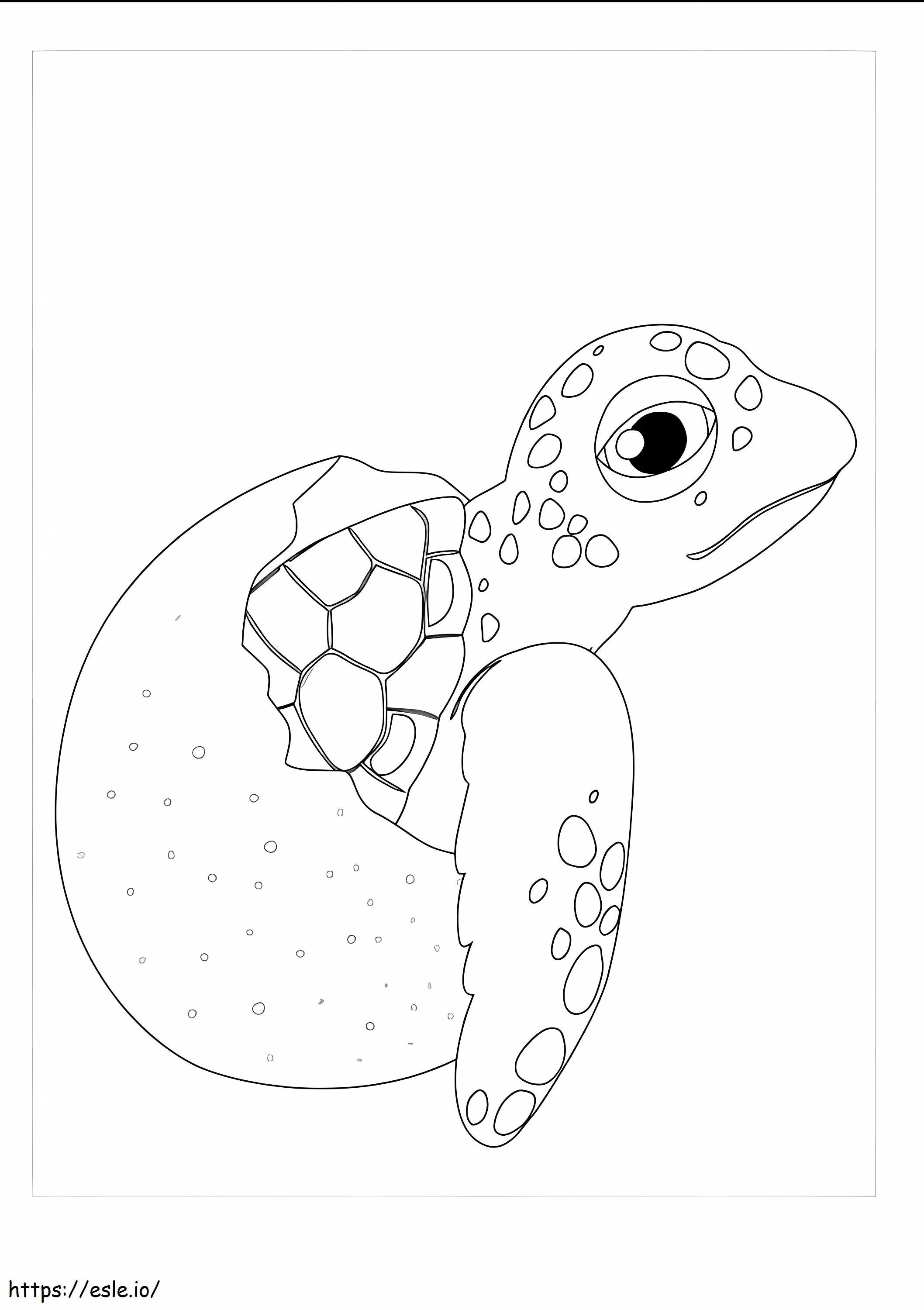 Schildpad In Gebroken Ei kleurplaat kleurplaat