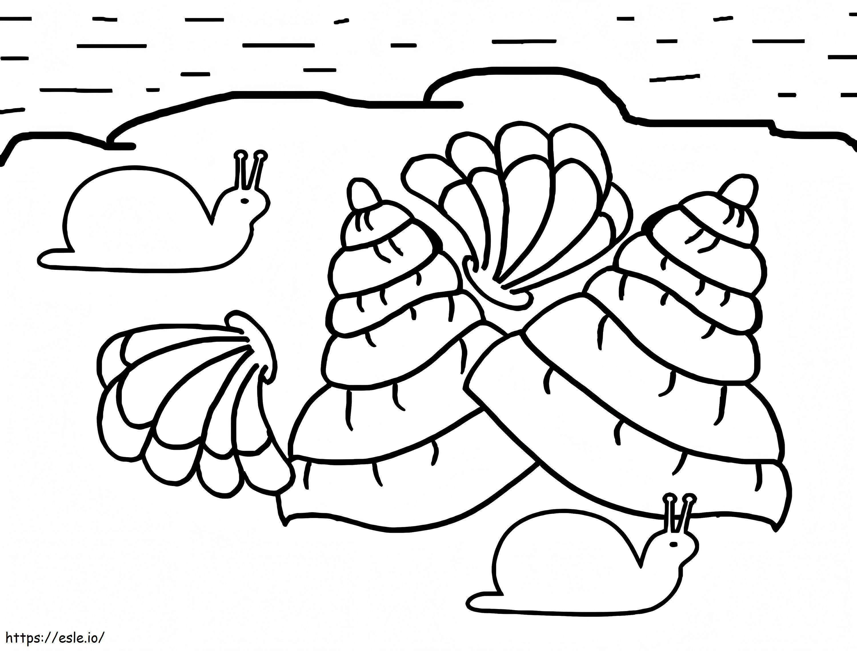 カタツムリと貝殻 ぬりえ - 塗り絵
