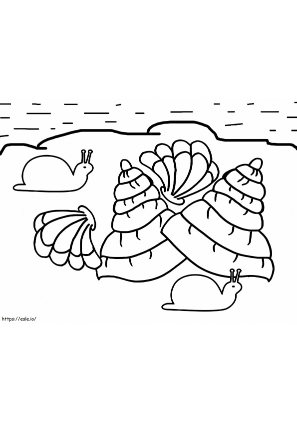 Snails And Seashells coloring page