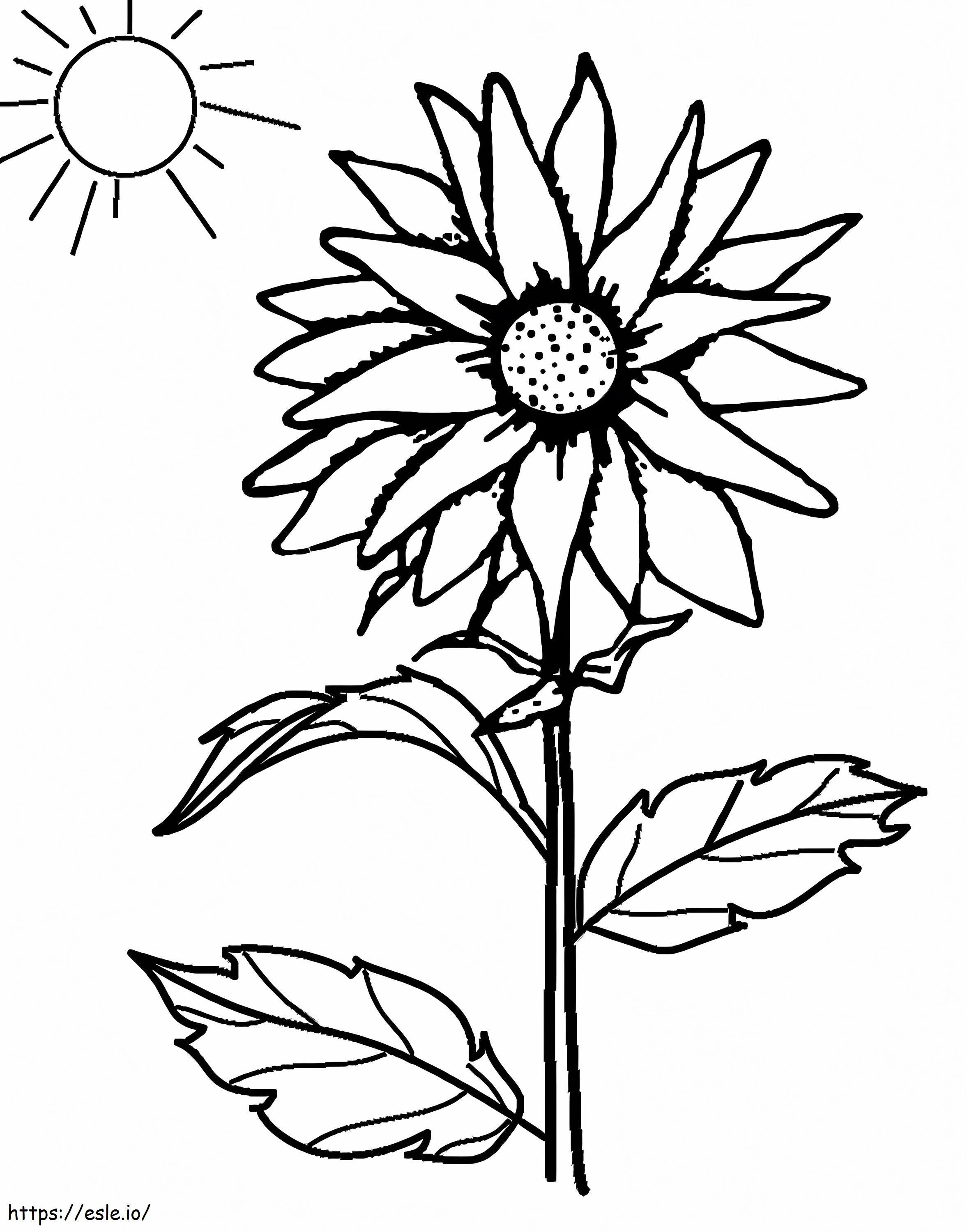 Sunflower And The Sun coloring page