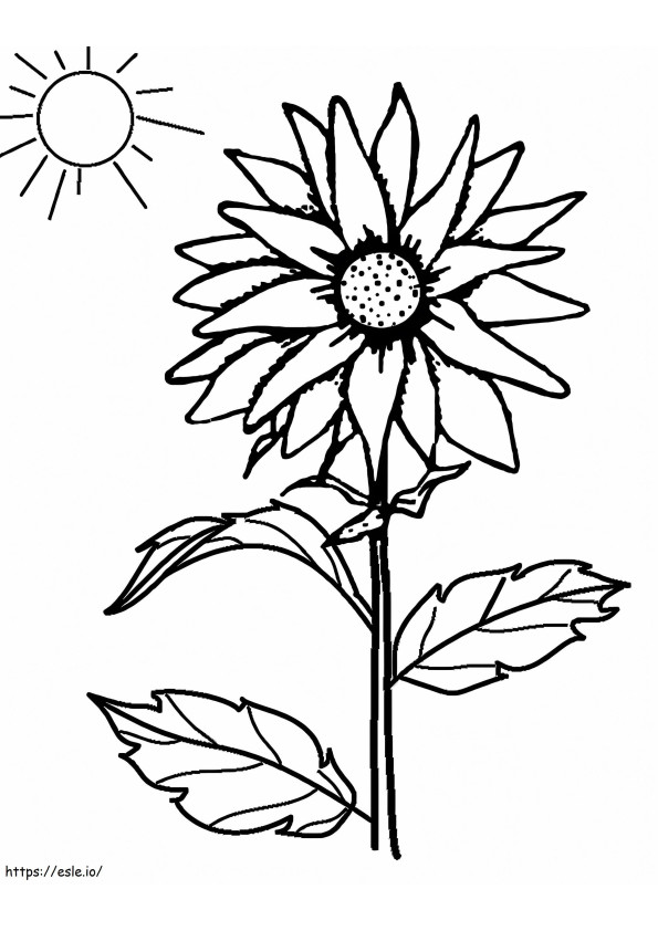 Sunflower And The Sun coloring page