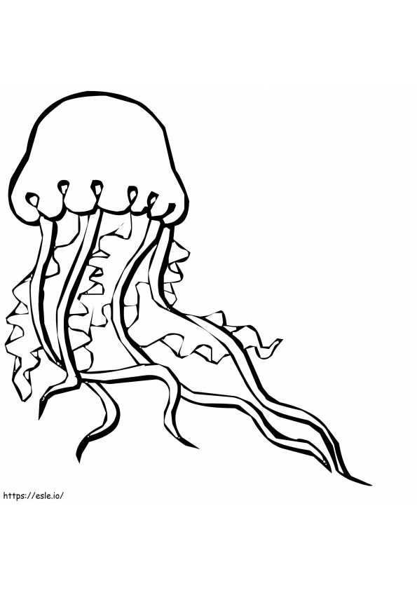 Medusa yang menggemaskan Gambar Mewarnai