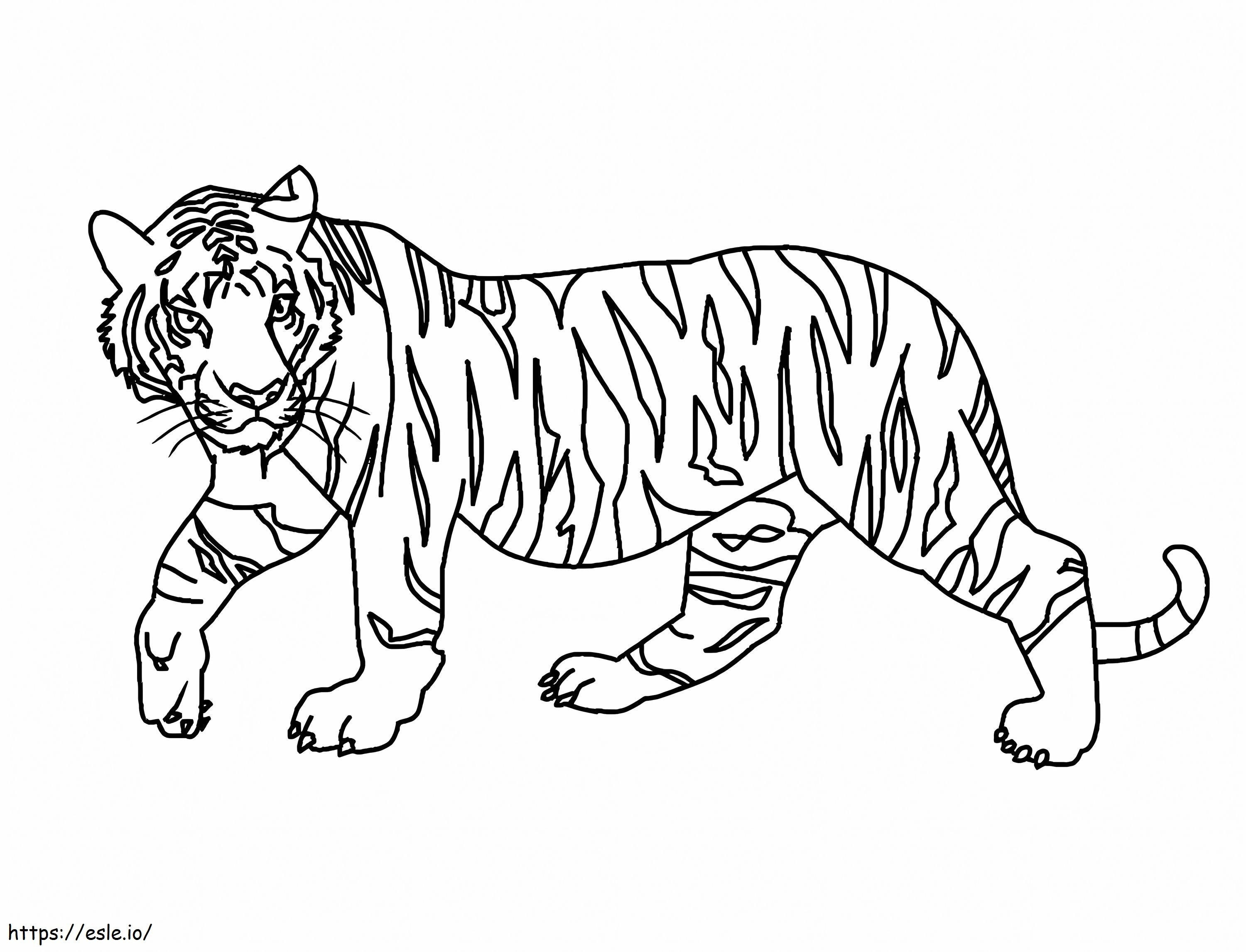 Coloriage Tigre simple à imprimer dessin