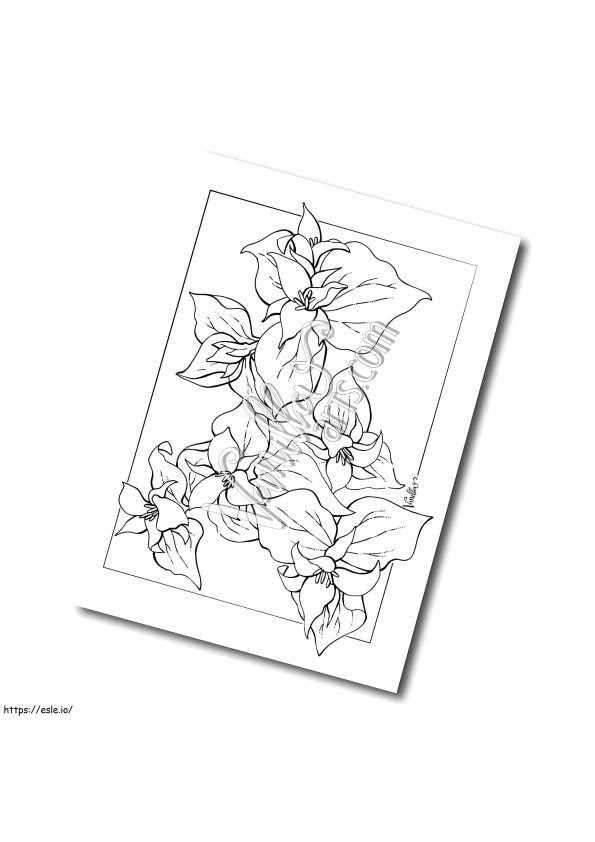 Quadro De Flores Trillium para colorir